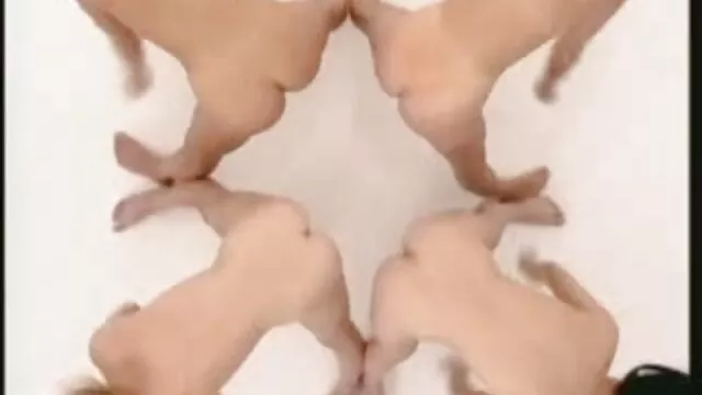 چهره و دانلود سوپر سکسی جدید فحاشی کورتنی سیمپسون و کلوئی