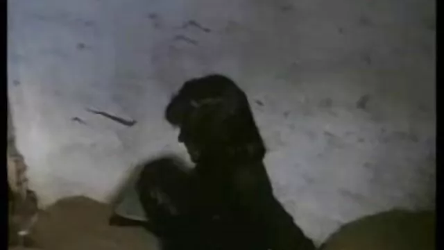 ضربه به فیلم سوپر جدید رایگان آشپز